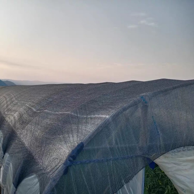 10x10 shade cloth-application scene photo of black flat yarn shade net 10x10 shade cloth-application scene photo of black flat yarn shade net