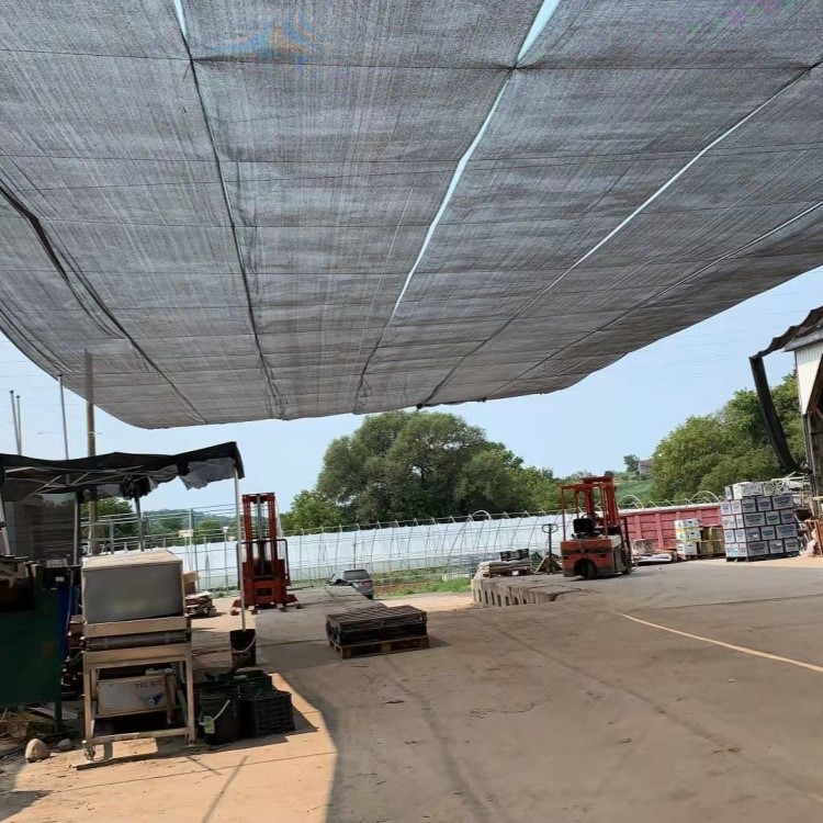 20 shade cloth-application scene photo of black flat yarn shade net 20 shade cloth-application scene photo of black flat yarn shade net